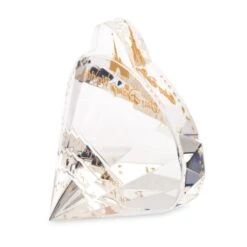 Walt Disney World Nametag Crystal Paperweight By Arribas – Personalized -Disney 7409055366300 2